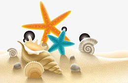 海滩上的海星