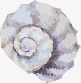 海螺