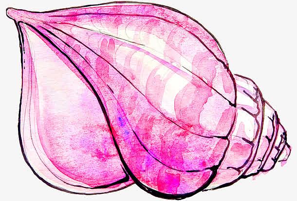 粉色海螺壳