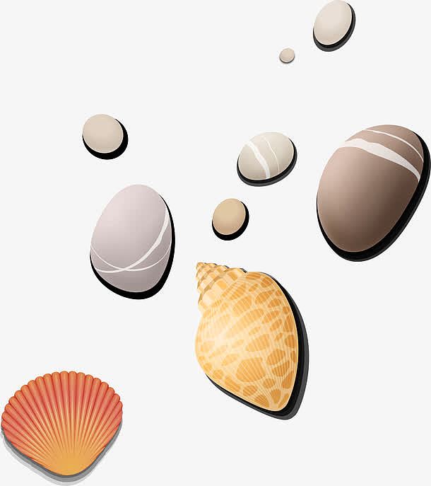 沙滩上各种鹅卵石贝壳