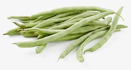 透明四季豆大图