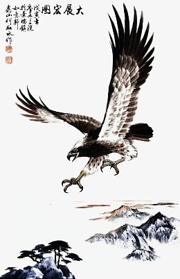 大展鸿图鹰