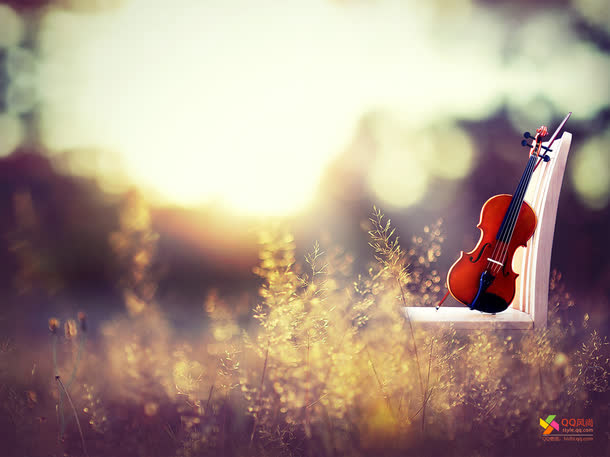 摄影夏日风景小提琴