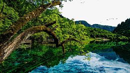 四川九寨沟风景四