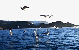旅游景区泸沽湖