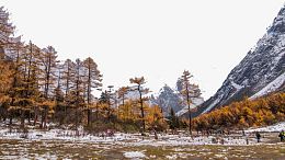 四川毕棚沟风景一