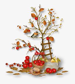 苹果树木梯小鸟