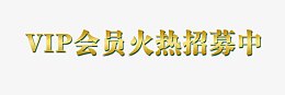 VIP会员火热招募艺术字