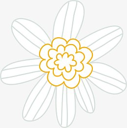 花朵底纹