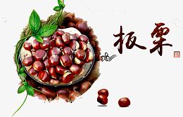 板栗素材