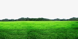 绿色草地边框纹理