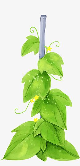 水彩手绘灌木丛