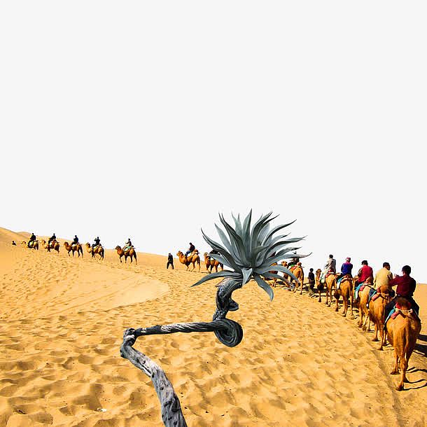 沙漠枯树骑队