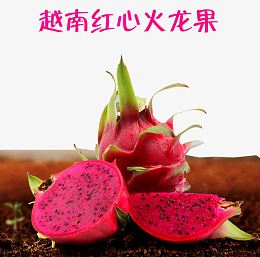 越南红心火龙果