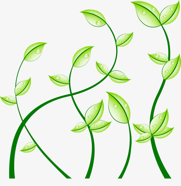 关键词 : 树叶,生命,生长[声明] 觅元素所有素材为用户免费分享产生