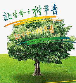 环保海报背景效果