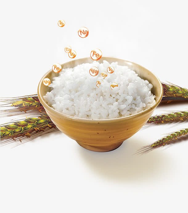 大米的营养成分