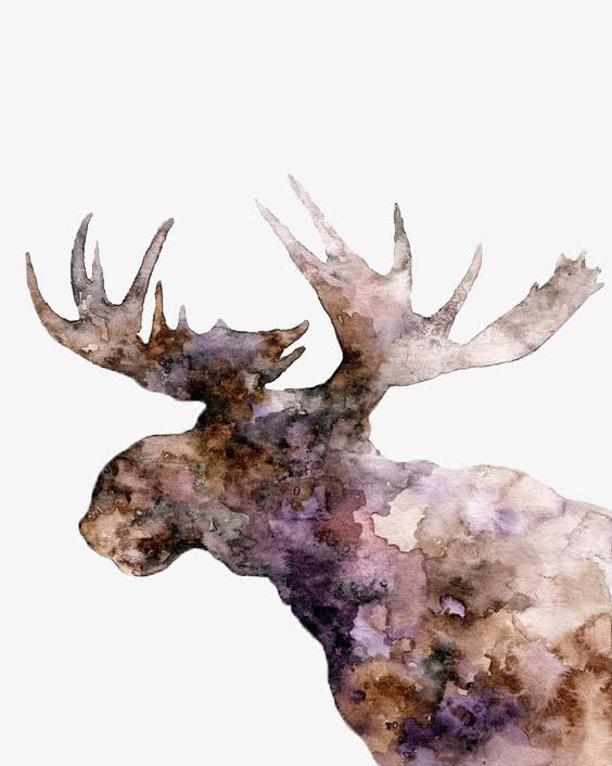 水彩鹿头装饰
