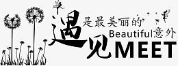 遇见是最美丽的意外艺术字