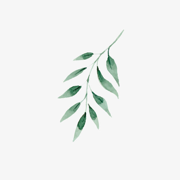 手绘水彩清新树叶素材