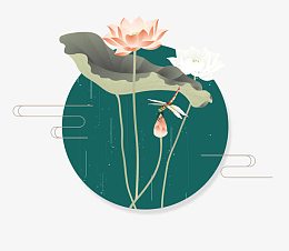 荷花手绘插画