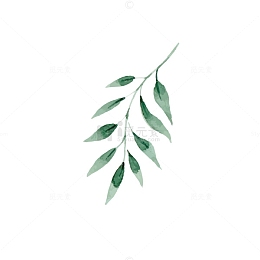 手绘水彩清新树叶素材