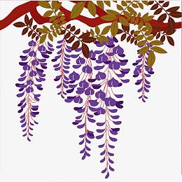 手绘紫藤花素材