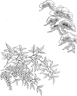 矢量线描中草药