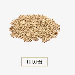 川贝母