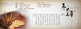 中药冬虫夏草