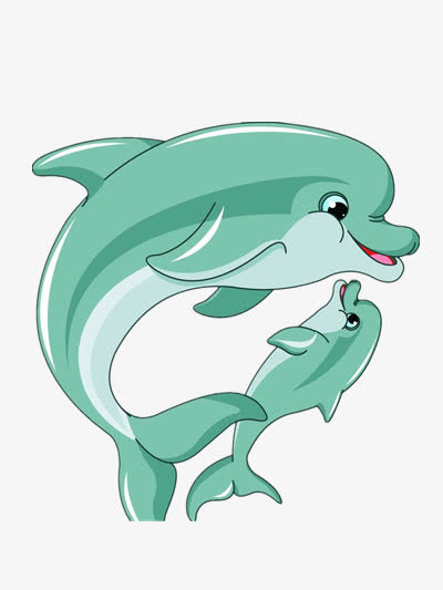 温馨的海豚母子