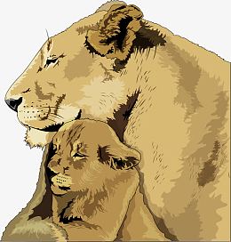 温馨依靠一起的狮子母子