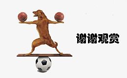 谢谢观赏小狗平衡木