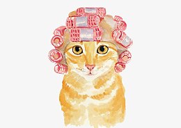 一只奇怪的猫
