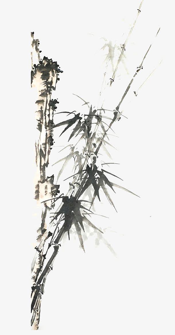 中国风水墨画效果竹子