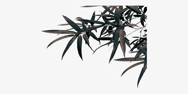 中国风水墨画黑白竹子图片