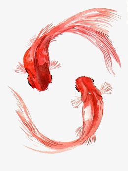 金鱼