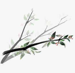 中国传统彩色水墨植物画
