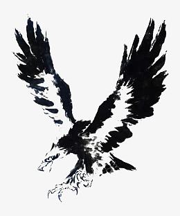 黑白水墨画海雕