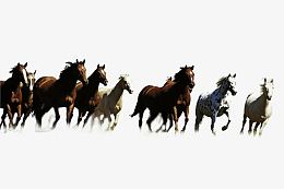 马飞奔骑马草原