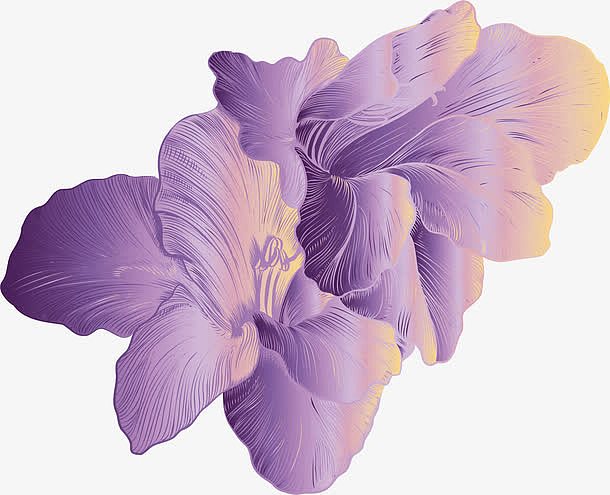 渐变紫色手绘花朵