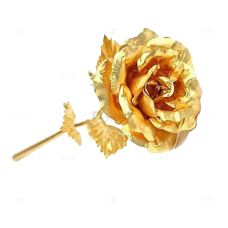 金箔玫瑰花图片
