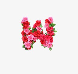 w英文字母花朵元素
