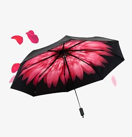 雨伞