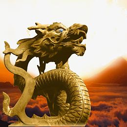 金龙素材