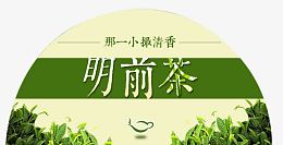 明前茶茶叶装饰