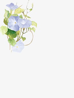 花卉专辑