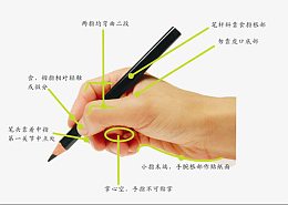 手握笔图片