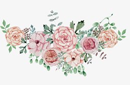 水彩鲜花花簇