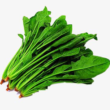 菠菜蔬菜素材_菠菜蔬菜图片元素-觅元素